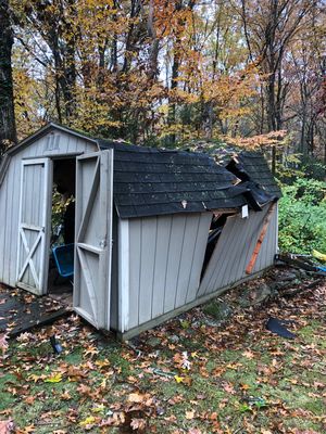 A broken-door shed in a wooded area.